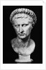 Bust of Augustus by Anonymous
