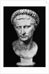 Bust of Augustus by Anonymous