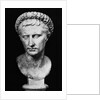 Bust of Augustus by Anonymous