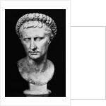 Bust of Augustus by Anonymous