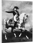 Portrait of Napoleon by Anonymous