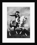 Portrait of Napoleon by Anonymous