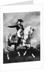 Portrait of Napoleon by Anonymous