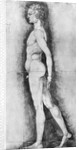 Albrecht Durer Study of Male Anatomy by Anonymous