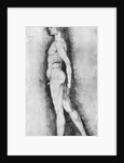 Albrecht Durer Study of Male Anatomy by Anonymous