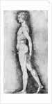 Albrecht Durer Study of Male Anatomy by Anonymous
