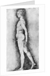 Albrecht Durer Study of Male Anatomy by Anonymous