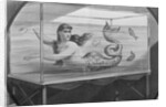 Mermaid Swimming in Tank by Anonymous