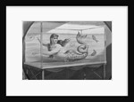 Mermaid Swimming in Tank by Anonymous