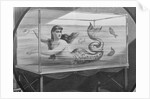 Mermaid Swimming in Tank by Anonymous