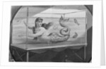 Mermaid Swimming in Tank by Anonymous