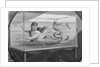 Mermaid Swimming in Tank by Anonymous