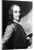 Voltaire by Corbis