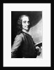 Voltaire by Corbis