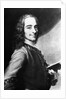 Voltaire by Corbis