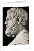 Sculpture of Sophocles by Anonymous