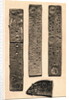 Portraits of Juryman's Tickets by Anonymous