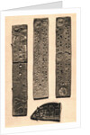 Portraits of Juryman's Tickets by Anonymous