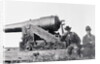Confederates Cannon Called the Whistling Dick by Anonymous