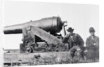 Confederates Cannon Called the Whistling Dick by Anonymous