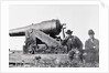 Confederates Cannon Called the Whistling Dick by Anonymous