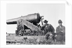 Confederates Cannon Called the Whistling Dick by Anonymous