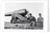 Confederates Cannon Called the Whistling Dick by Anonymous