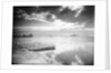 The Midnight Sun by Anonymous