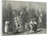 Workers Picking Ripe Berries from Trees by Anonymous