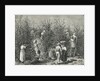 Workers Picking Ripe Berries from Trees by Anonymous