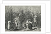 Workers Picking Ripe Berries from Trees by Anonymous
