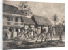 Farmers Spreading Coffee Beans by Anonymous