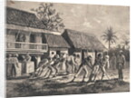 Farmers Spreading Coffee Beans by Anonymous