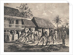 Farmers Spreading Coffee Beans by Anonymous