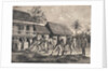 Farmers Spreading Coffee Beans by Anonymous