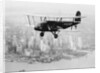 Airplane Flying Near Manhattan by Anonymous