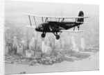 Airplane Flying Near Manhattan by Anonymous