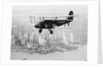 Airplane Flying Near Manhattan by Anonymous