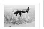 Airplane Flying Near Manhattan by Anonymous