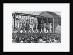 Mass Hanging by Anonymous