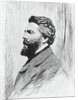 Portrait of Herman Melville by Anonymous