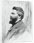 Portrait of Herman Melville by Anonymous
