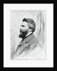 Portrait of Herman Melville by Anonymous