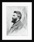 Portrait of Herman Melville by Anonymous