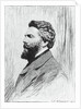 Portrait of Herman Melville by Anonymous