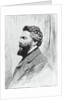 Portrait of Herman Melville by Anonymous