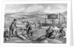 Immigrants Panning for Gold by Anonymous