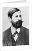 Psychiatrist Sigmund Freud by Anonymous
