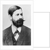 Psychiatrist Sigmund Freud by Anonymous