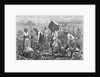 Workers Picking Cotton by Anonymous
